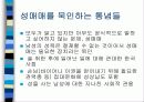 [여성학]성매매 특별법 시행후 현황과 문제점및 대책 16페이지