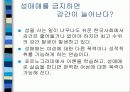 [여성학]성매매 특별법 시행후 현황과 문제점및 대책 19페이지