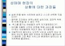 [여성학]성매매 특별법 시행후 현황과 문제점및 대책 20페이지