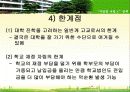 [PPT] 자립형 사립고 정책 (2006.4월최근) 22페이지