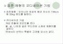 [패션과의상]체형에 따른 코디네이션 기법 연구 16페이지