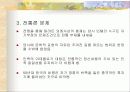 [한국문학사]1950년대의 우리문학 연구 23페이지