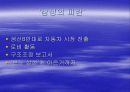 [기업경영]현대자동차와 기아자동차의 경영비교 7페이지