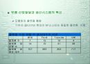 [기업경영]현대자동차의 경영전략 11페이지