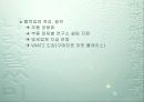[기업경영]현대자동차의 경영전략 12페이지