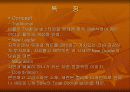 브랜드별 특징 6페이지