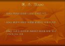 브랜드별 특징 26페이지