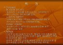 브랜드별 특징 27페이지