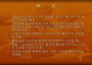 브랜드별 특징 40페이지