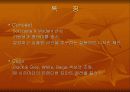 브랜드별 특징 60페이지