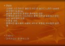 브랜드별 특징 61페이지
