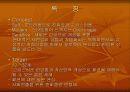 브랜드별 특징 65페이지