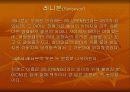 브랜드별 특징 74페이지