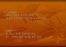 브랜드별 특징 80페이지