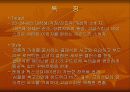 브랜드별 특징 84페이지