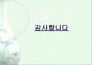 [기업경영]IMF이후 대림과 동아의 현상황 연구 13페이지