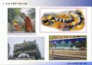 도시색에 관한 조사 5페이지