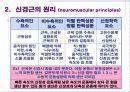 플라이오메트릭에 대한 발표자료 입니다. 4페이지