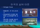삼성 노블카운티의 실버마케팅과  경영 전략 분석, 문제점 및 개선방안 25페이지