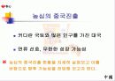[세계경제와기업]농심의 중국진출 현황과 전략 그리고 향후 해외시장 및 중국시장의 전략 6페이지