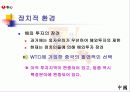[세계경제와기업]농심의 중국진출 현황과 전략 그리고 향후 해외시장 및 중국시장의 전략 15페이지