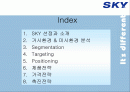 [이동통신시장]SK텔레텍의 ‘SKY'의 제품과 시장환경분석 및 마케팅 전략 분석 2페이지