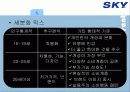 [이동통신시장]SK텔레텍의 ‘SKY'의 제품과 시장환경분석 및 마케팅 전략 분석 10페이지
