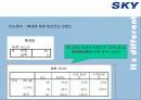 [이동통신시장]SK텔레텍의 ‘SKY'의 제품과 시장환경분석 및 마케팅 전략 분석 18페이지