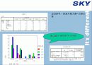 [이동통신시장]SK텔레텍의 ‘SKY'의 제품과 시장환경분석 및 마케팅 전략 분석 19페이지