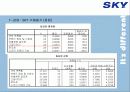 [이동통신시장]SK텔레텍의 ‘SKY'의 제품과 시장환경분석 및 마케팅 전략 분석 27페이지