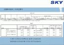 [이동통신시장]SK텔레텍의 ‘SKY'의 제품과 시장환경분석 및 마케팅 전략 분석 29페이지
