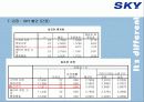 [이동통신시장]SK텔레텍의 ‘SKY'의 제품과 시장환경분석 및 마케팅 전략 분석 30페이지