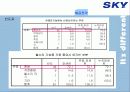 [이동통신시장]SK텔레텍의 ‘SKY'의 제품과 시장환경분석 및 마케팅 전략 분석 33페이지