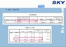 [이동통신시장]SK텔레텍의 ‘SKY'의 제품과 시장환경분석 및 마케팅 전략 분석 35페이지