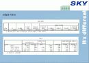 [이동통신시장]SK텔레텍의 ‘SKY'의 제품과 시장환경분석 및 마케팅 전략 분석 40페이지