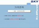 [이동통신시장]SK텔레텍의 ‘SKY'의 제품과 시장환경분석 및 마케팅 전략 분석 42페이지