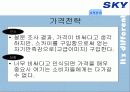 [이동통신시장]SK텔레텍의 ‘SKY'의 제품과 시장환경분석 및 마케팅 전략 분석 43페이지
