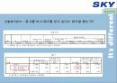 [이동통신시장]SK텔레텍의 ‘SKY'의 제품과 시장환경분석 및 마케팅 전략 분석 46페이지