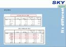 [이동통신시장]SK텔레텍의 ‘SKY'의 제품과 시장환경분석 및 마케팅 전략 분석 47페이지