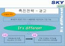 [이동통신시장]SK텔레텍의 ‘SKY'의 제품과 시장환경분석 및 마케팅 전략 분석 48페이지