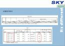 [이동통신시장]SK텔레텍의 ‘SKY'의 제품과 시장환경분석 및 마케팅 전략 분석 53페이지
