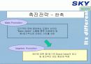 [이동통신시장]SK텔레텍의 ‘SKY'의 제품과 시장환경분석 및 마케팅 전략 분석 55페이지
