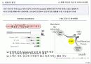 [e비즈니스]정보통신산업의 주요 흐름과 전망 15페이지