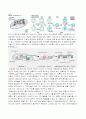 세포의 구조와 기능 7페이지