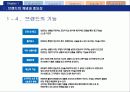 브랜드전략과 브랜드 자산구축 7페이지