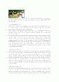 농촌관광 REPORT 8페이지