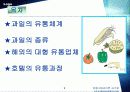 호텔내의 과일유통과정 3페이지