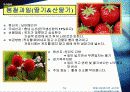 호텔내의 과일유통과정 13페이지