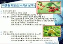 호텔내의 과일유통과정 20페이지