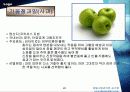 호텔내의 과일유통과정 22페이지